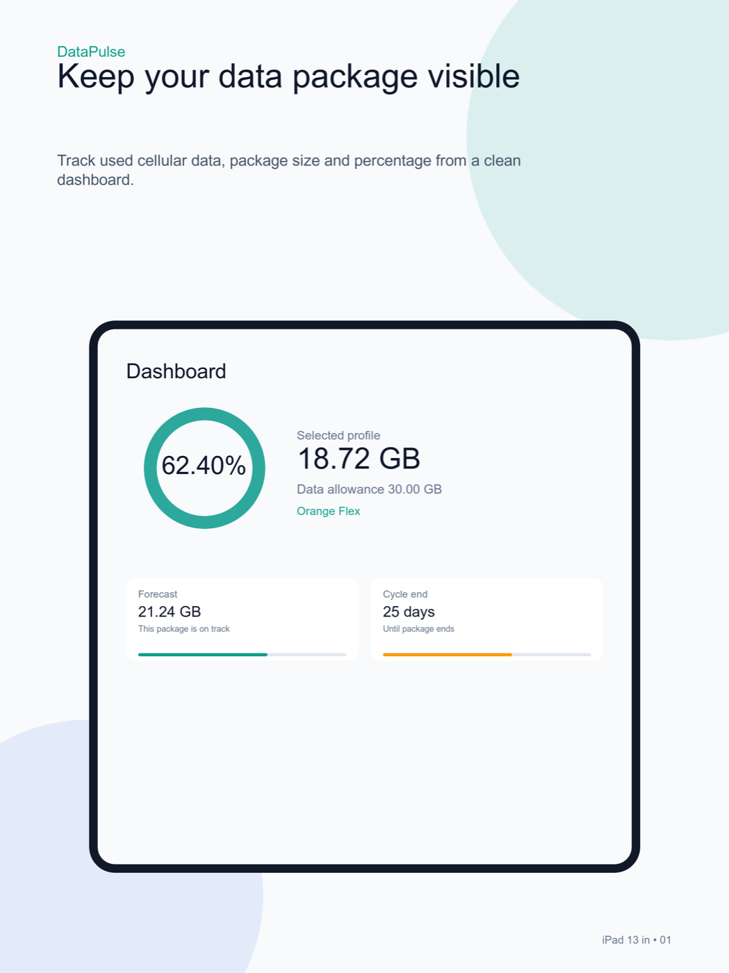 DataPulse dashboard on iPad