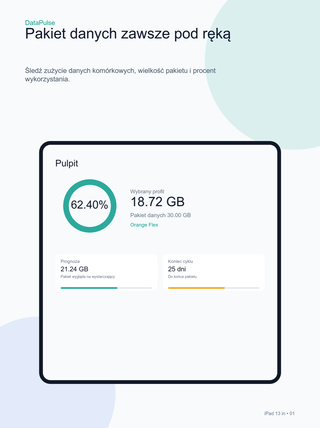 Pulpit DataPulse na iPadzie