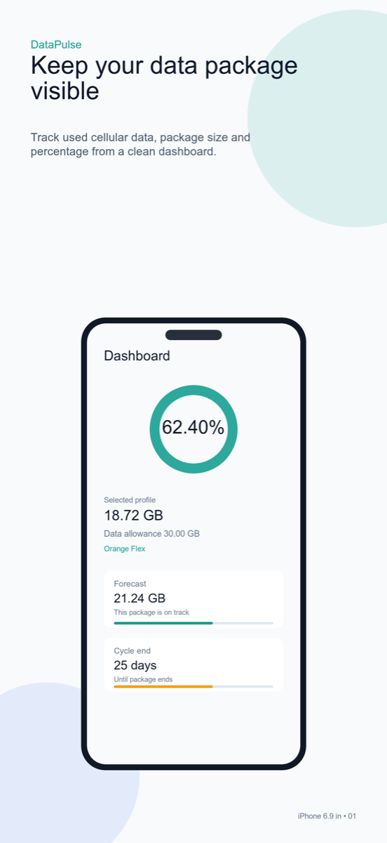 DataPulse dashboard on iPhone